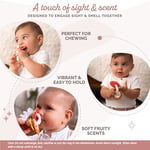 Sophie la girafe Fragrances Diş Kaşıyıcı Halkalar
