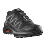 Speedcross Peak Gore-Tex Erkek Siyah Outdoor Ayakkabı L47853800