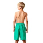 Speedo Graph Les 17 Wsht Jm Green/Green Sp8078589367 Tek Renk M