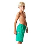 Speedo Graph Les 17 Wsht Jm Green/Green Sp8078589367 Tek Renk M