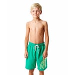 Speedo Graph Les 17 Wsht Jm Green/Green Sp8078589367 Tek Renk M
