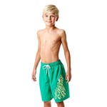Speedo Graph Les 17 Wsht Jm Green/Green Sp8078589367 Tek Renk M