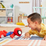 Spidey And His Amazing Friends Dans Eden Spider-man