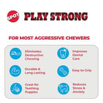 SPOT Ethical Products Tarafından Öne Çıkanlar - Play Strong - S Bone - Agresif Chewers için Köpek Oyuncağı İnteraktif Dayanıklı Köpek Oyuncağı - Seçenekler: 12-Inch, 12-Inch (2 paketi)