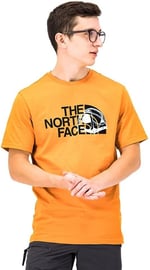 S/S Graphic Half Dome Tee Erkek T-Shirt - NF0A7R3A Sarı