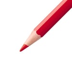 STABILO aquacolor - Kuru Boya Kalemi - 12'li Paket - Çeşitli Renkler