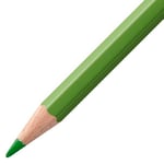 STABILO color - Kuru Boya Kalemi - 12'li Paket - 2 Neon Renk Dahil Çeşitli Renkler - Seçenekler: 30 stück (1er Pack)