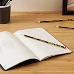 STAEDTLER Noris 120 kurşun kalem, Upcycled Wood'dan üretilmiştir, sertlik derecesi HB, kaymaz yumuşak yüzey, yüksek kitap dayanıklılığı, yüksek kalite, Alman malı, 12 adet, 120-2
