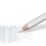Staedtler - Sanatçılar için yüksek kaliteli gölgeleme kalemi, Karıştırma ve nüanslar oluşturmak için ideal, blister ambalajda, 5426BLBK-C