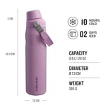 STANLEY Aerolight IceFlow Fast Flow Soğuk Su Termosu 0.60 Litre - Lila | Paslanmaz Çelik