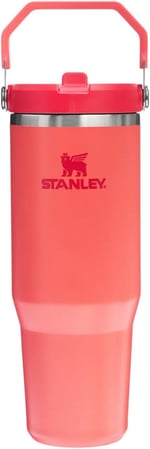Stanley IceFlow Flip Straw Tumbler Pipetli Termos Bardak, 0.89 Litre, Mercan (Hot Coral) - Seçenekler: 0.89 L, 0.9 Liters