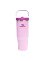 Stanley IceFlow Flip Straw Tumbler Pipetli Termos Bardak, Siyah 2.0, 0.89 Litre - Seçenekler: 0.89 L, 0.9 Liters