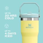 Stanley IceFlow Paslanmaz Çelik Pipetli Bardak - Ev, Ofis veya Araba için Vakum Yalıtımlı Su Şişesi - Tekrar Kullanılabilir Bardak Pipetli Sızdır - Seçenekler: 20 oz, 40 oz, 60 oz, 64 oz, 95 oz, 850 g