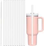 Stanley için 10 Paket Yedek Pipet 40 oz 30 oz 20 oz 14 oz Macera Söndürücü Seyahat Bardağı, Yeniden Kullanılabilir Şeffaf Pipetler Temizleme Fırçalı, Stanley Cup Kupa Aksesuarları ile Uyumlu