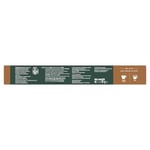 Starbucks By Nespresso House Blend Kapsül Kahve 1 X 10 Adet