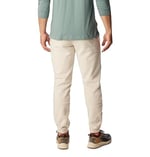 Steens Mountain Pant Erkek Eşofman Alti