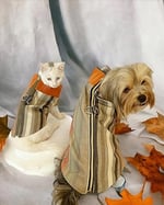 Stripe Orange Su itici Köpek Yağmurluğu M