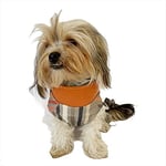 Stripe Orange Su itici Yağmurluk Köpek Yağmurluğu KARIŞIK ÇOK RENKLİ XL