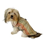 Stripe Orange Su itici Yağmurluk Köpek Yağmurluğu KARIŞIK ÇOK RENKLİ S