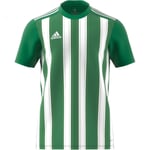 Striped 21 Jsy Erkek Yeşil Futbol Forma H35644