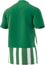 Striped 21 Jsy Erkek Yeşil Futbol Forma H35644