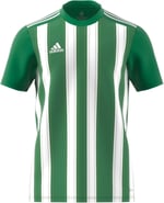Striped 21 Jsy Erkek Yeşil Futbol Forma H35644