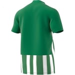 Striped 21 Jsy Erkek Yeşil Futbol Forma H35644