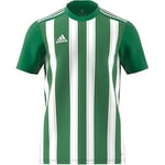 Striped 21 Jsy Erkek Yeşil Futbol Forma H35644