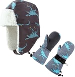 Su Geçirmez Erkek Çocuk Bere Eldiven Set 2-4 Yaş Kayak Snowboard Gri Mavi Dino, 2-4 Yaş