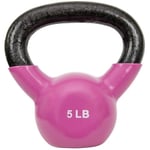 Sunny Health & Fitness Vinil Kaplamalı Kettlebell, Güç Ağırlık Antrenmanı ve Savurma Egzersizi için