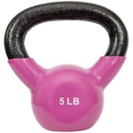 Sunny Health & Fitness Vinil Kaplamalı Kettlebell, Güç Ağırlık Antrenmanı ve Savurma Egzersizi için