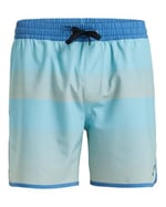 Surfsilk Scallop Volley 16 Erkek Mavi Deniz Şortu EQYJV04108-BGW6