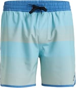 Surfsilk Scallop Volley 16 Erkek Mavi Deniz Şortu EQYJV04108-BGW6