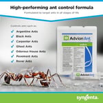 Syngenta - Advion Ant Gel Bait 4x30g Tüp, 4 Uç ve 4 Piston (60438)