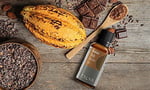 Talya Kakao Yağı, Soğuk Sıkım,%100 Saf Ve Doğal, Doğal Bronzluk, 20 ml - Seçenekler: AROMASIZ, AROMASIZ (3 paketi)