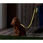 Tchibo Köpek Tasması, Reflektörlü