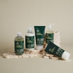 Tea Tree Paul Mitchell Lemon Sage Dolgunlaştirici Sprey 200 Ml