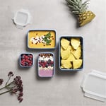 Tefal Masterseal Color 4'lü Saklama Kabı - Mavi