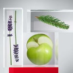 Teha-Hugo Boss For men Erkek Deo Stick 75Ml