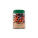 Terra AN6003Z – Dinozor kutu, oyun, renkli