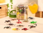Terra AN6039Z – sürüngen kutu, oyun, çok renkli
