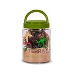 Terra AN6039Z – sürüngen kutu, oyun, çok renkli