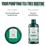 The Body Shop Çay Ağacı Arındırıcı ve Dengeleyici Saç ve Saç Derisi Ovma Vegan ipek Protein 240ml