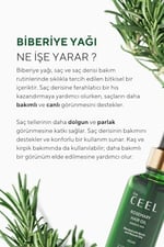 The Ceel Biberiye Saç Yağı Complexi 50 ml - Biotin, Hint Yağı ve Vitamin E İçeren Bitkisel Bakım Yağı, Saç Derisi, Kaş ve Kirpik İçin Besleyici ve Parlaklık Destekleyici - Seçenekler: 1 Adet, 2li Set