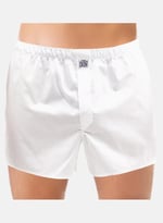 The Don Çok Renkli Erkek Boxer XL