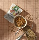 The Good Wild Filizlendirilmiş Yeşil Mercimek - Glutensiz Kuru Bakliyat, Vegan, Yüksek Lif ve Protein Kaynağı, 175 g
