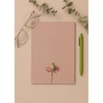 The Mia Art Line Mini Notluk Coneflower 15x21 Cm 40 Yaprak