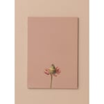 The Mia Art Line Mini Notluk Coneflower 15x21 Cm 40 Yaprak