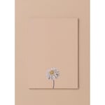 The Mia Art Line Mini Notluk Dahlia 15 X 21 Cm 40 Yaprak
