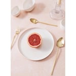 The Mia Cotta Limoges Pasta Tabağı Beyaz 21 Cm